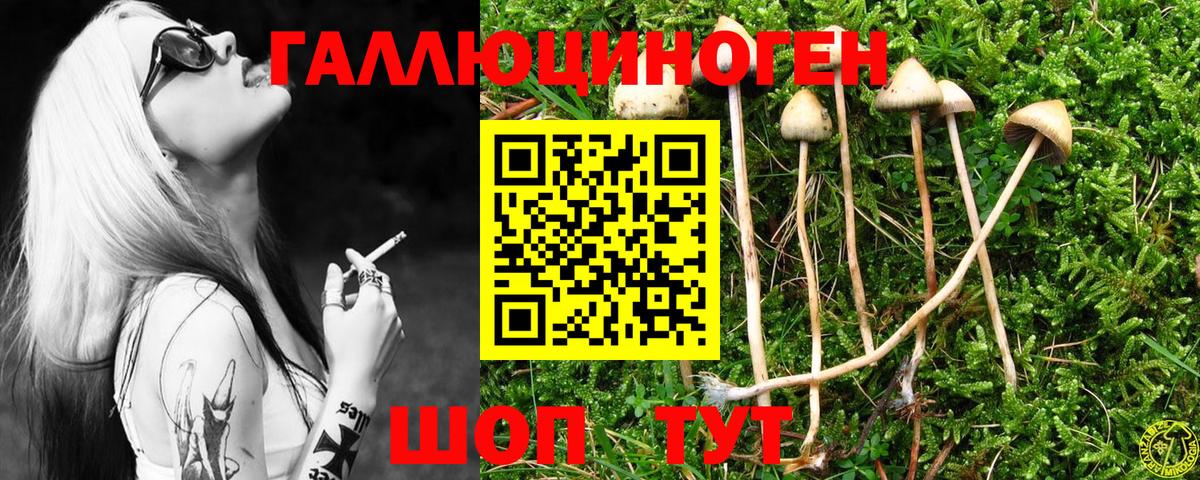 Псилоцибиновые грибы GOLDEN TEACHER  Галлюциногенные грибы мицелий  Щёлково  Вход с VPN 